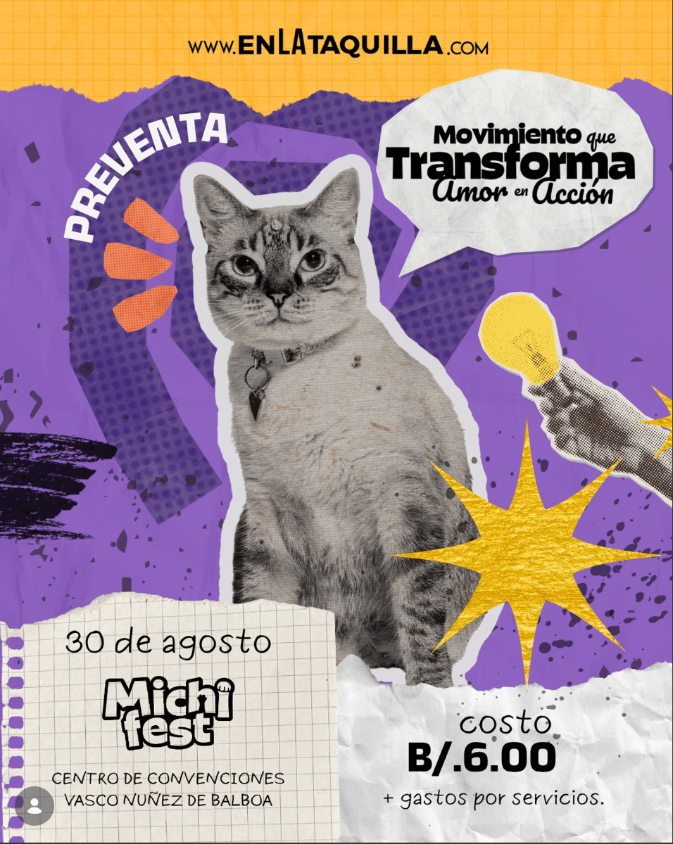 MICHI FEST