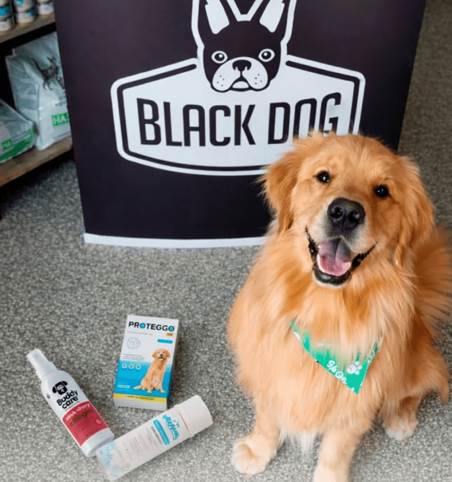 BLACK DOG